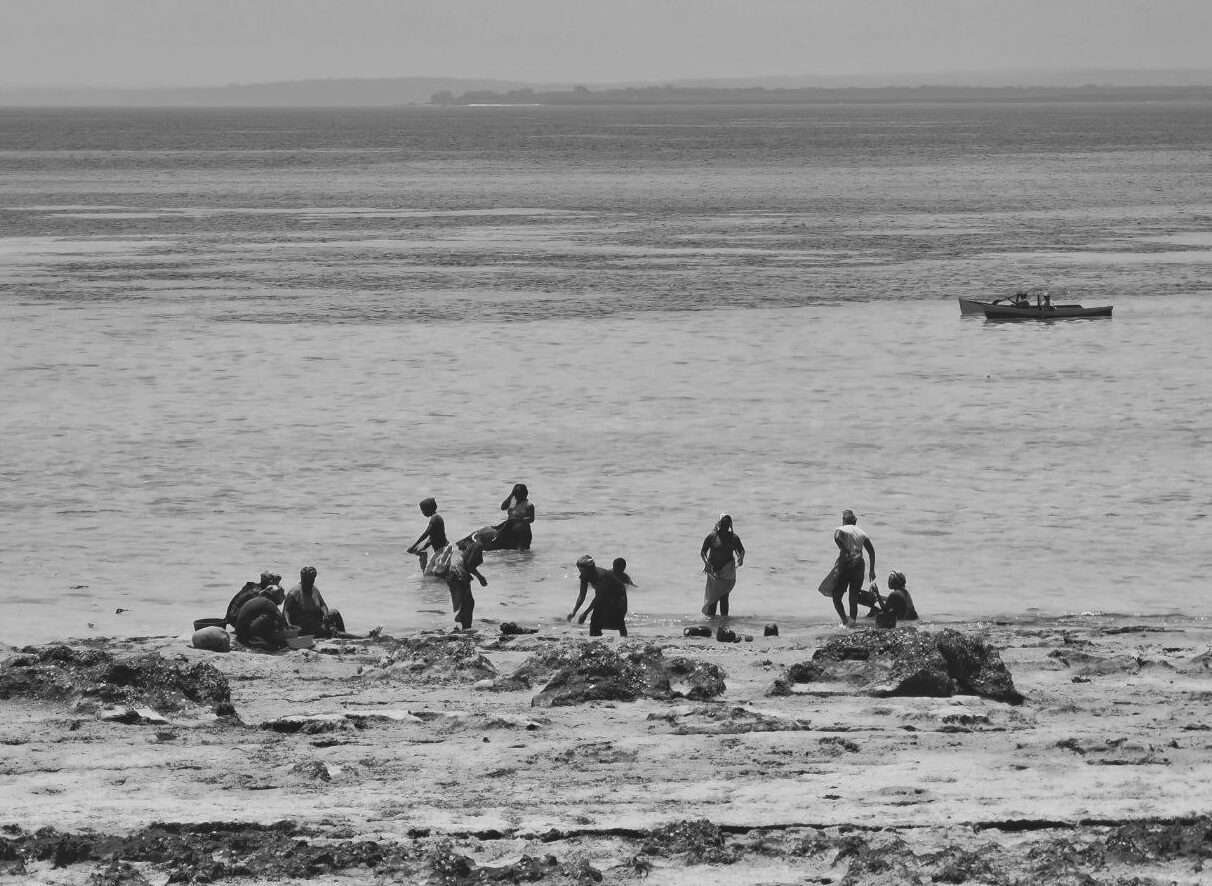 Women on the beach of Pemba, Northern Mozambique